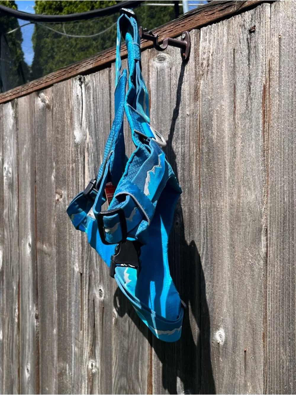 Lightweight teal outdoor Arcadia trail harness